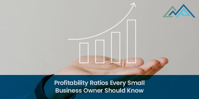 Profitability Ratios Every Small Business Owner Should Know