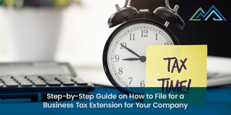 Step-by-Step Guide on How to File for a Business Tax Extension for Your Company